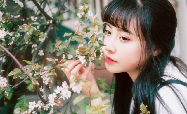 内特的梦想剧院