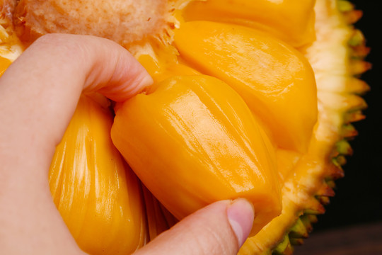 再见美人鱼（下部）