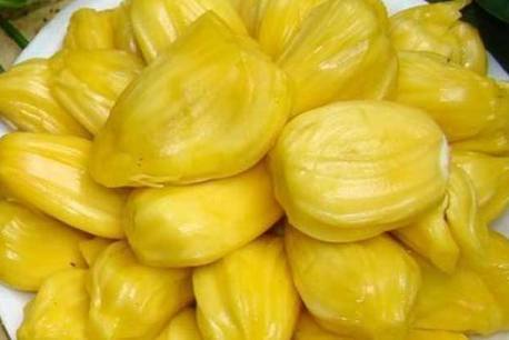 克娄巴特拉计划