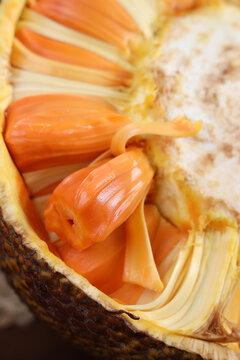 全面失控:跌落神坛的美式潮牌