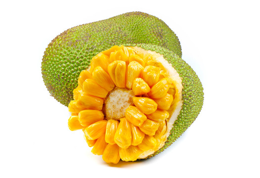 养鬼吃人9:启示录