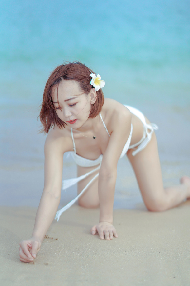 八百壮士 八百壯士