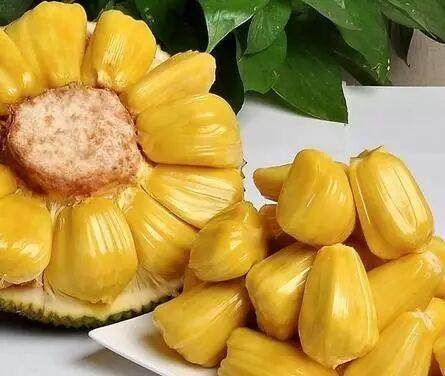 克里斯黛拉·阿朗索:上层阶级